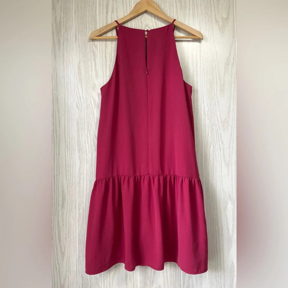 Ann Taylor Loft Outlet Drop Waist Raspberry Red Dress Size L EUC - Picture 4 of 4